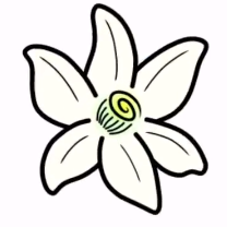 AzaharPlus橙花3ds模拟器v2