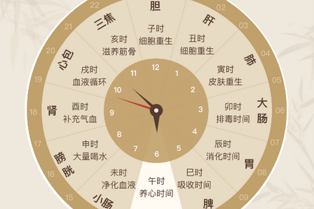 中济经络穴位app 中济经络穴位app