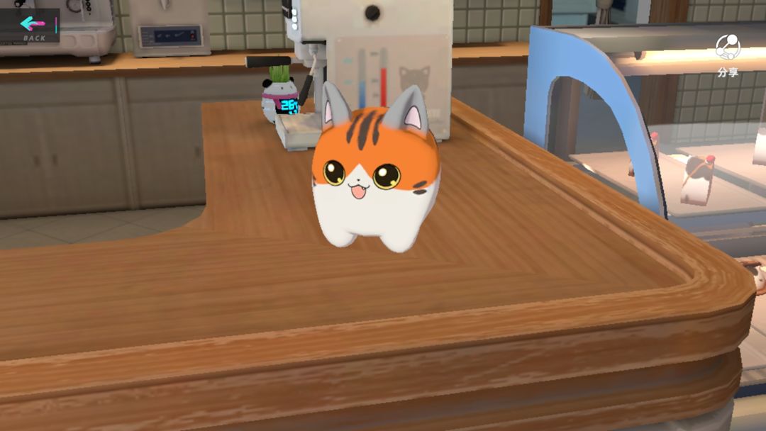 猫之城 猫之城