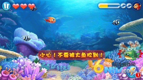 大鱼吃小鱼3 第4张图